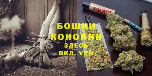 трава Медвежьегорск