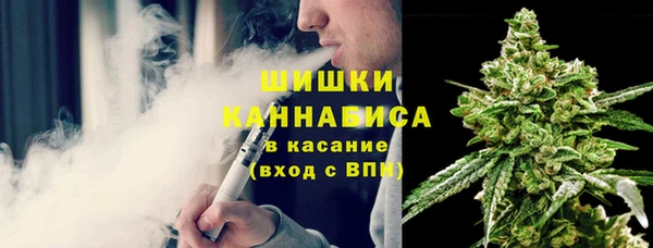 дмт Мегион